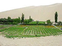 Mingsha Dunes - China