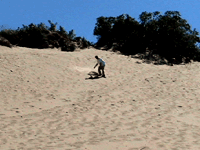 Indiana Dunes National Lakeshore