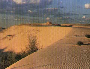 Dunes Over 60 Feet Tall are Inviting