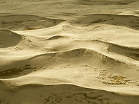 Killpecker Dunes